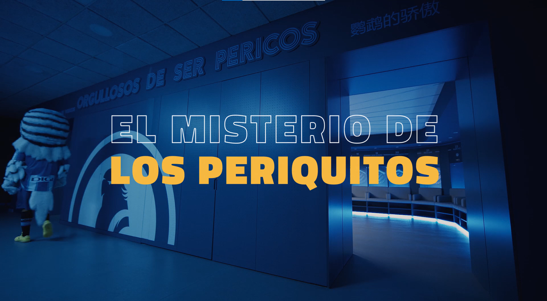 periquitos 1
